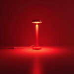 Red Light Therapy 2026: Why Everyone’s Investing in LED Devices