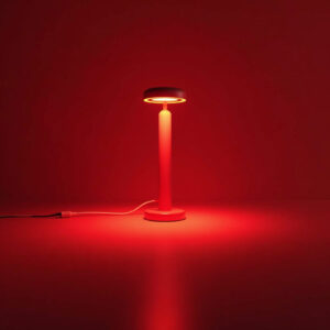 Red Light Therapy 2026: Why Everyone’s Investing in LED Devices